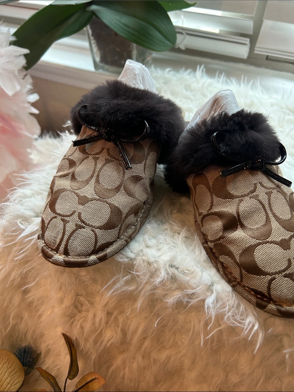 Coach slippers